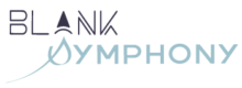 Blank Symphony Consultancy - Advisory and Coaching Services, Public Speaking and Training, Government Relations, Partnerships and International Partnerships, Team Development, Strategic Communications, Team Development Strategic Leadership and Management, Program Management